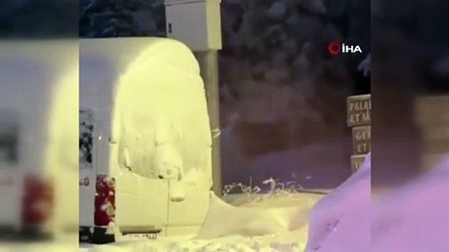 Uludağ'da kış uykusuna yatamayan ayılar yemek aramaya çıktı