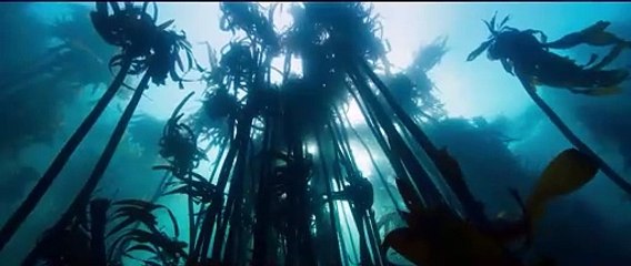 Les Gardiennes de la planète (2023) - Bande annonce