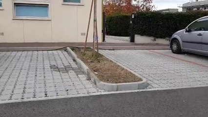 Turetta venerdi' in Italia, "ho pensato di farla finita"