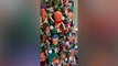 Derbyshire superfan mum shows off Christmas tree decked with 50 Kevin the Carrots
