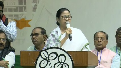 ক্রিকেট বিশ্বকাপের ফাইনাল কলকাতায় হলে ভারত জিতত!: মমতা  | Oneindia Bengali