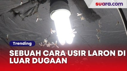 Entah Dapat Ide dari Mana, Sebuah Cara Usir Laron di Luar Dugaan oleh Pria Berkaus Kuning