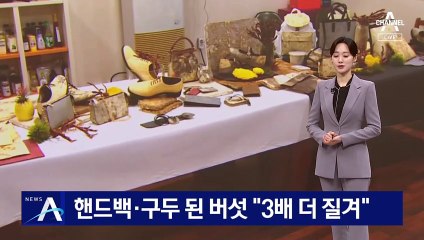 버섯으로 핸드백·구두…“3배 더 질겨”