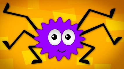 Incy Wincy Spider | Kindergarten Nursery Rhymes For Kids