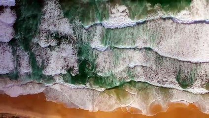 MEGALODON SHARK SIGHTINGS and FACTS