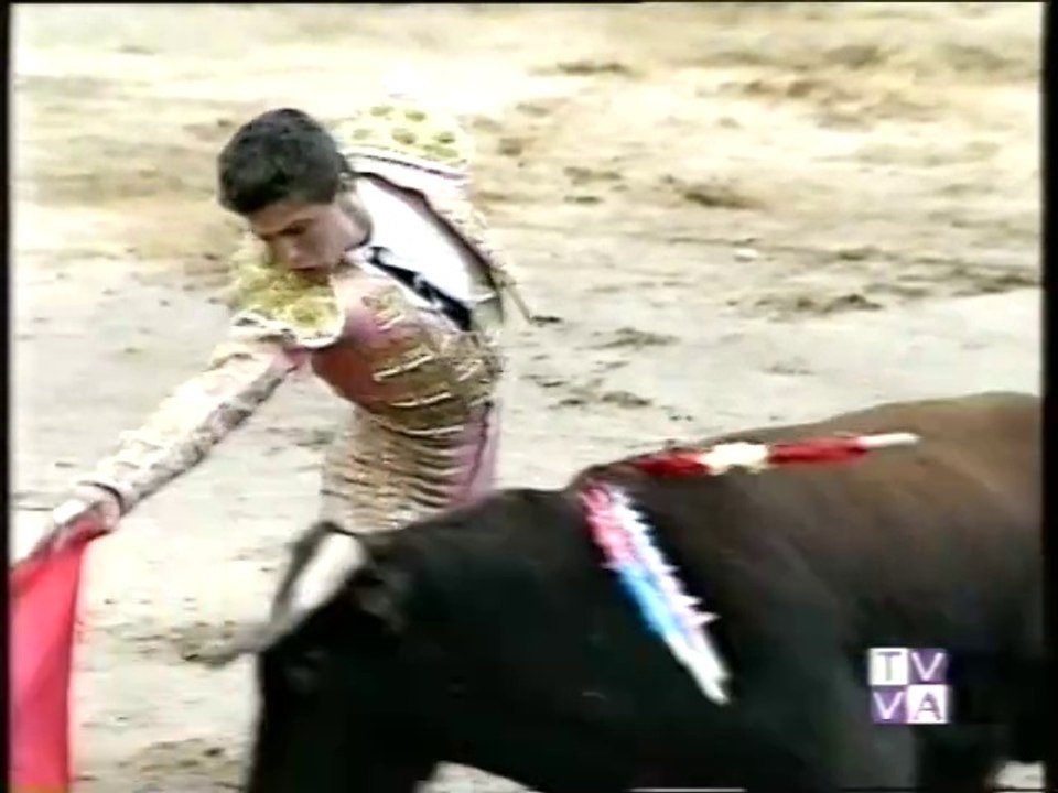 TARDE DE TOROS-VICTOR JANEIRO Y "YANITO" YANN ARIAS-ROA DE DUERO-7 07