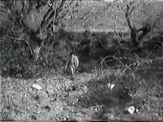 ΠΑΝΤΡΕΥΟΥΝ ΤΗΝ ΑΓΑΠΗ ΜΟΥ - 1965 - VHSRip - 704x532