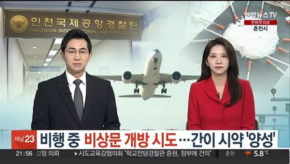 마약 취한 20대 여성, 운항 중 대한항공 여객기 비상문 개방 시도