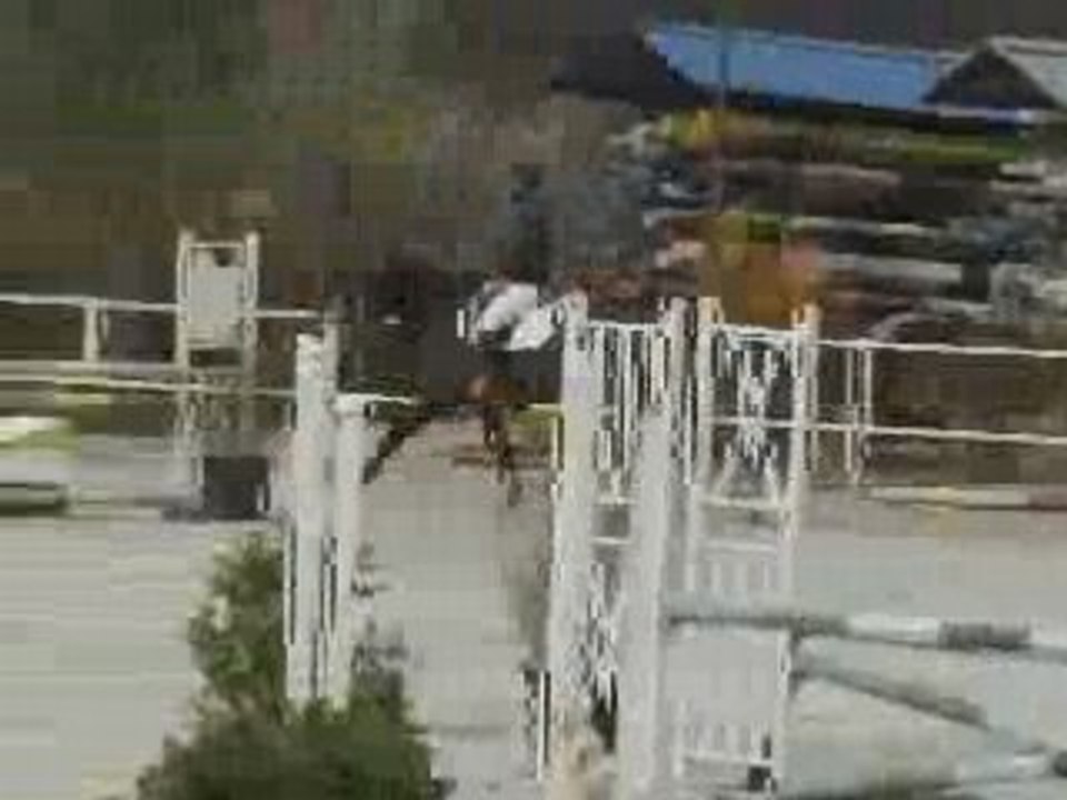 Qapuccino NEP CCE Brazey