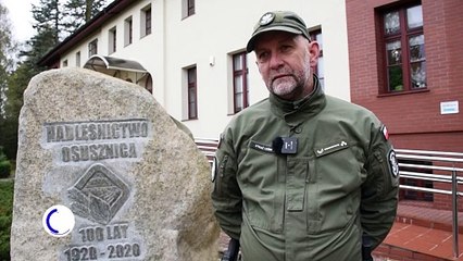 Za kradzież choinki grzywna lub sąd. Lepiej kupić, niż się wstydzić