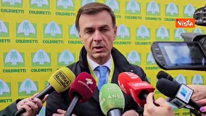 Prandini (Coldiretti): "Equiparare cibi creati in laboratorio a farmaci"