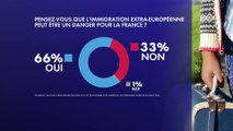Sondage : 66% des Français estiment que l’immigration extra-européenne peut être un danger pour le pays