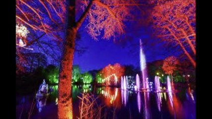 Best Christmas Days Out: Experiences in Yorkshire