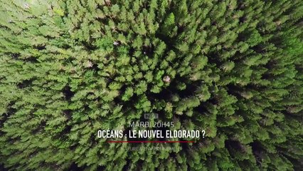 Océans : le nouvel Eldorado ?