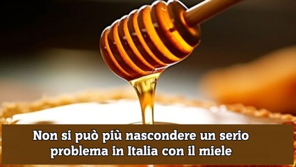Non si può più nascondere un serio problema in Italia con il miele