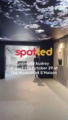 Discover the Hidden Side of Audrey Hepburn at Intimate Audrey Exhibit ✨