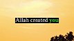 Allah has a plan for you #islamic #islamicstatus #mufti_menk #allah #shortvideo