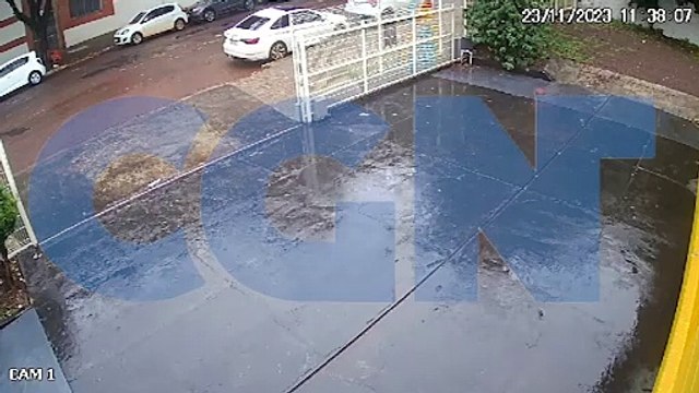 Vídeo mostra momento em que árvore cai na Rua Juscelino Kubitscheck