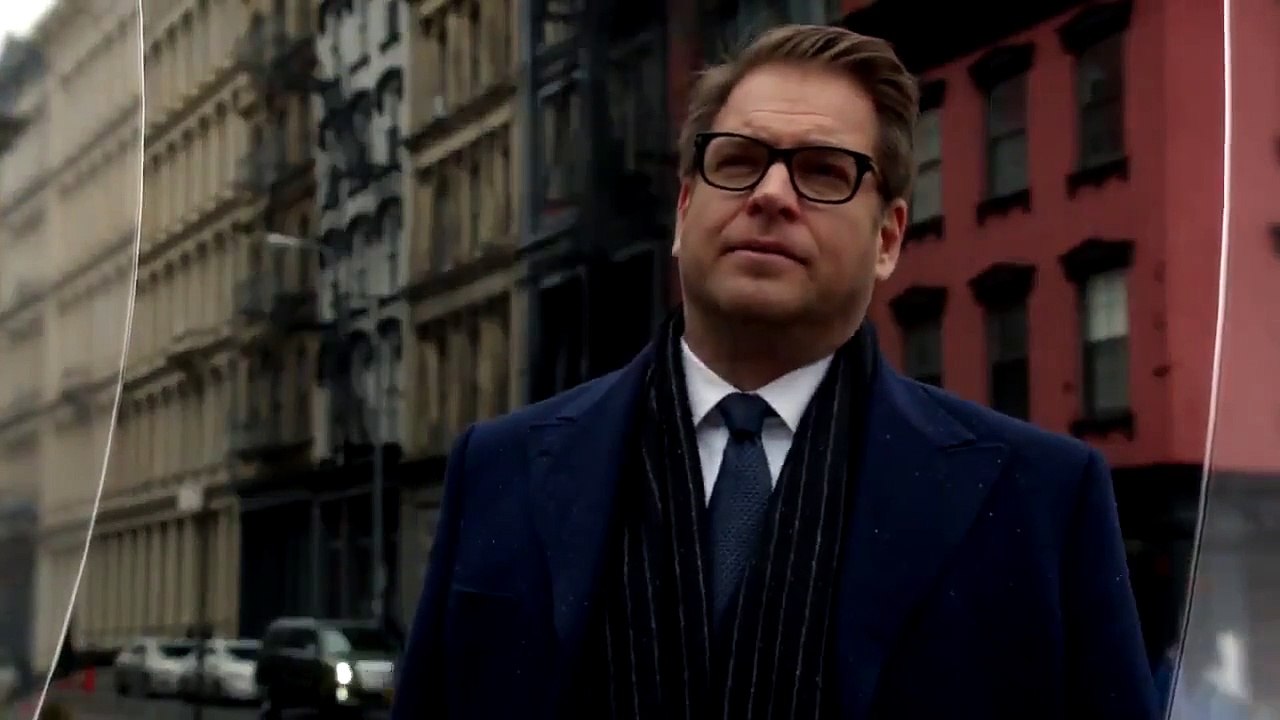 Bull 2016