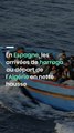 En Espagne, les arrivées de harraga au départ de l'Algérie en nette hausse