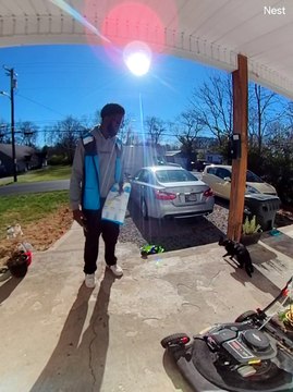 Cat Greets Amazon Delivery Driver