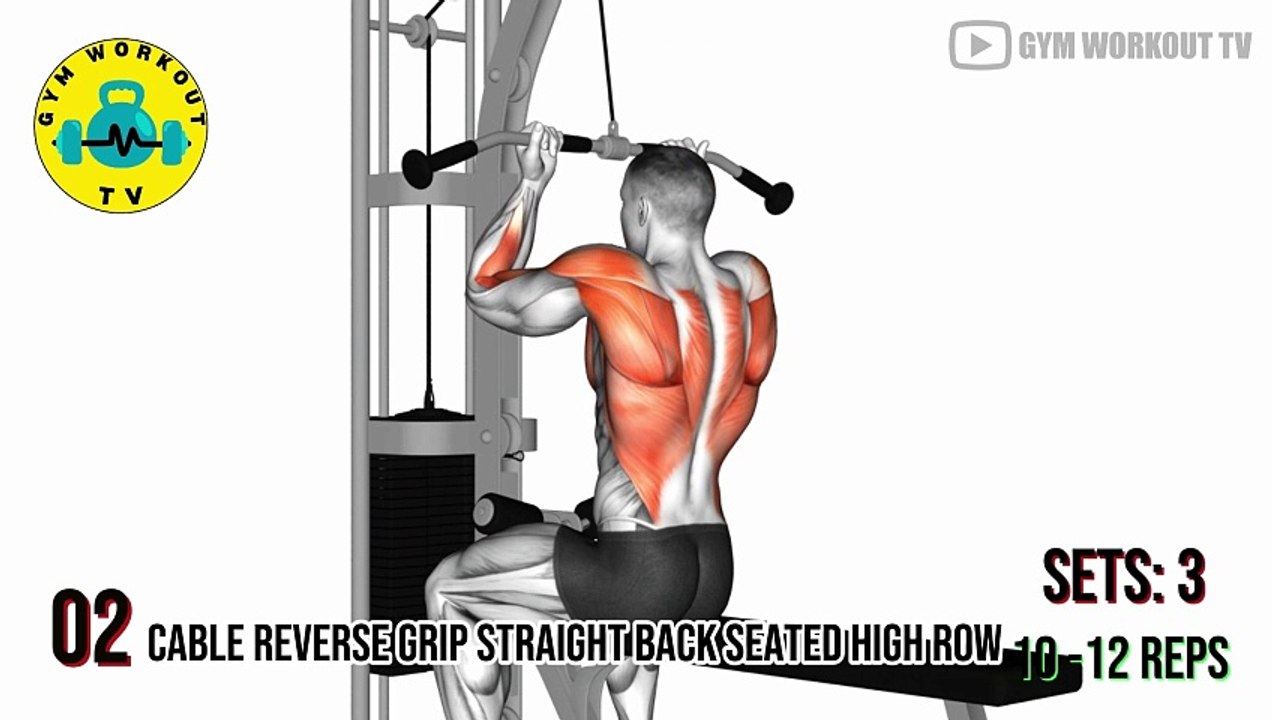 Push, Pull, Legs 3 Day Split Workout 3 Day PPL Routine video