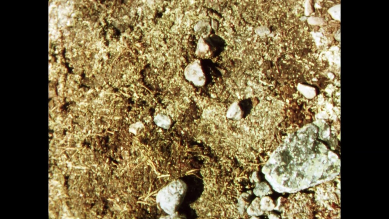 La Region Centrale (1971)  1/2