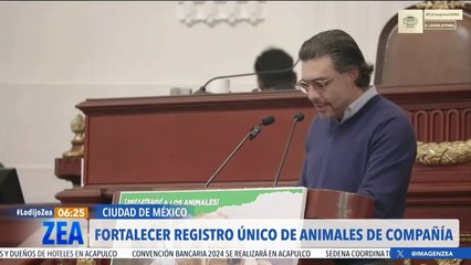 Partido Verde exhorta a reflexionar sobre la adquisición de mascotas de compañía