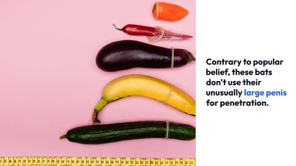 Getting My Thanksgiving games nfl To Work