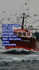 L’aide au gazole pour les pêcheurs prolongée jusqu’en juin 2024 : des exclus et des incertitudes