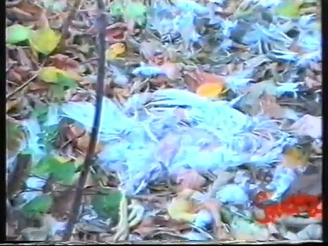 Бахмут ТРК ЗАКАЗ 1996 программа Стена