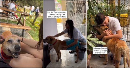 Familia comparte el último día en la tierra con su perrito