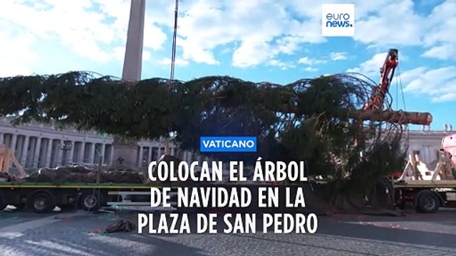 El Vaticano coloca el árbol de Navidad más humanitario que se convertirá en juguetes para niños