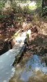 Morador denuncia descarte irregular de esgoto em rio de Ipioca