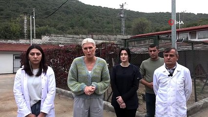 Bilecik Belediye Başkanı Subaşı'ndan köpek katliamıyla ilgili açıklama