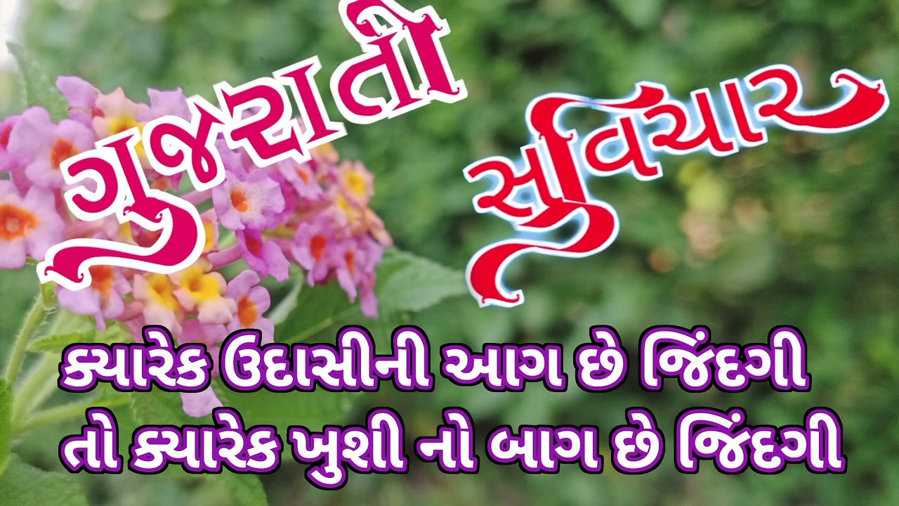 ક્યારેક ઉદાસીની આંખ સે જિંદગી તો ક્યારે ખુશીનો બાગ છે જિંદગી || gujarati suvichar ||