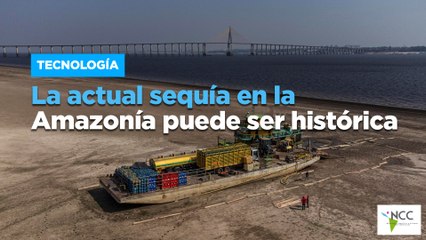 La actual sequía en la Amazonía puede ser histórica