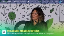 Intervención Milagros Marcos Ortega
