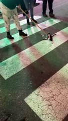 serpente via garibaldi messina