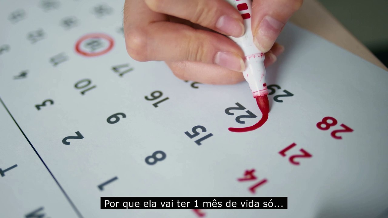 vsl - completo