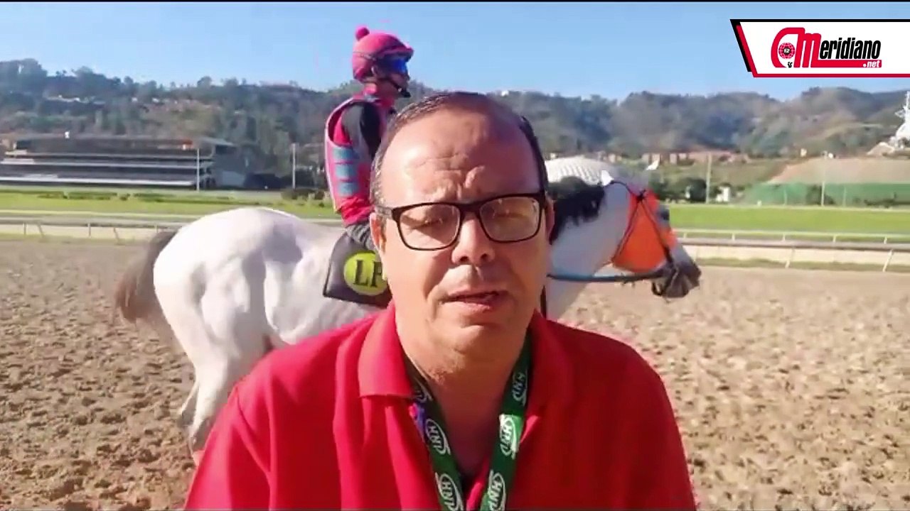 No te pierdas lo que dice José Gregorio Rodríguez sobre sus dos ejemplares el domingo en La Rinconada