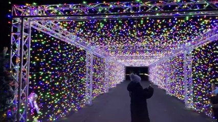 Glow Marwell: Zoo lit up by 500,000 bulbs for winter display