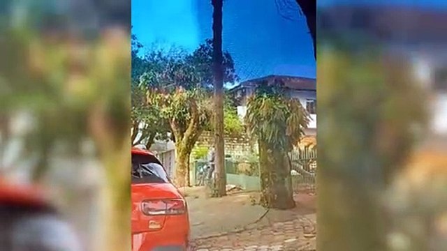 Imagens mostram ação da PM em prisão de 4 indivíduos no Alto Alegre