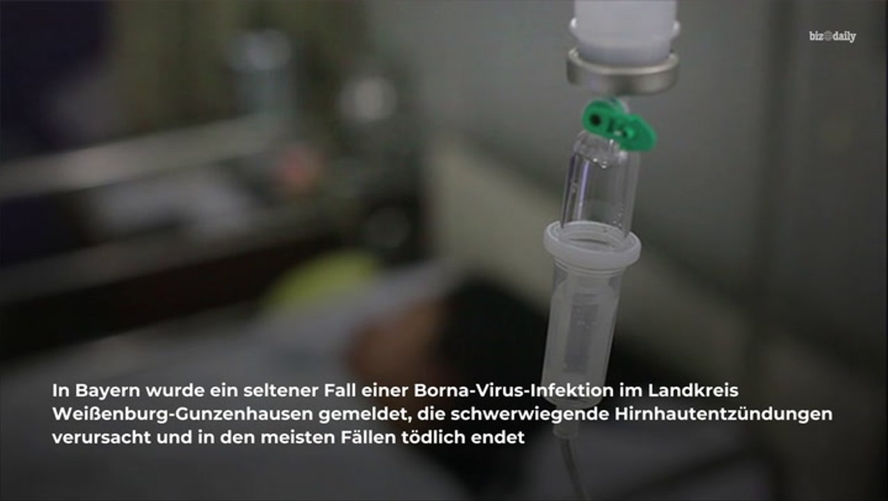 Tödlicher Virus in Bayern nachgewisen: Mensch mit Borna infiziert