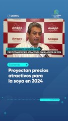 Proyectan precios atractivos para la soya en 2024