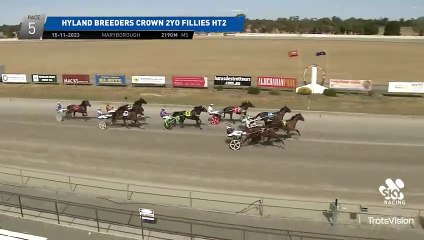 Centurion Dream finishes third in her Breeders Crown 2YO Trotting Fllies Heat at Maryborough