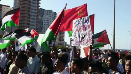 Presidente cubano encabeza multitudinaria marcha propalestinos en La Habana