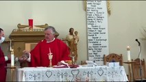 Catholic Mass Today I Daily Holy Mass I Friday November 24 2023 I English Holy Mass I 5.00 AM