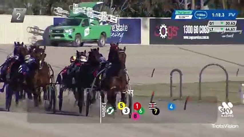 The Kate Hargreaves-trained Ludacrous finishes second behind Joyful in the Breeders Crown 3YO Fillies Semi-Final at Melton on November 18, 2023