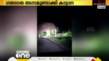 ചിന്നാർ റോഡിൽ ഗതാഗത തടസമുണ്ടാക്കി ഒന്നരക്കൊമ്പൻ